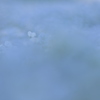 霧の彼方Ⅱ