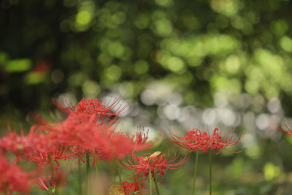 露出補正　ー０．３