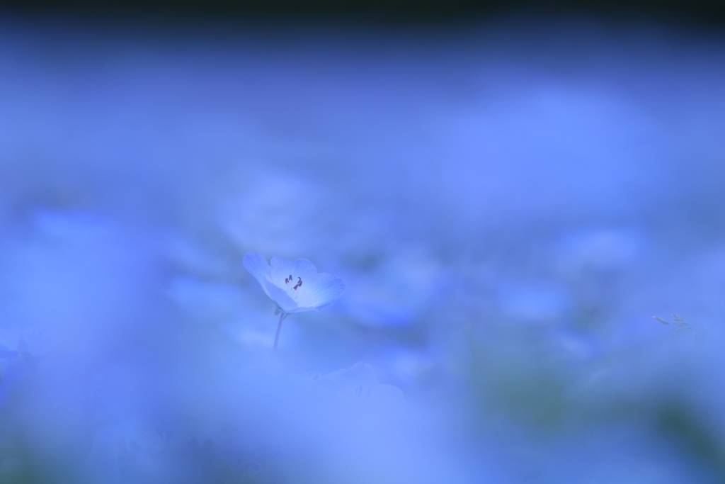 幻想