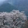 静謐