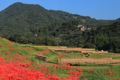 郷愁の里