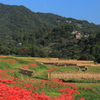 郷愁の里