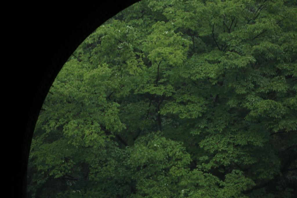 トンネルの向こうは、新緑だった