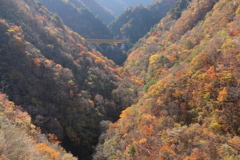 紅葉架橋Ⅱ