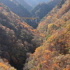 紅葉架橋Ⅱ