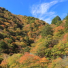 秋日和Ⅲ