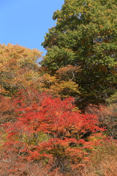 秋深し