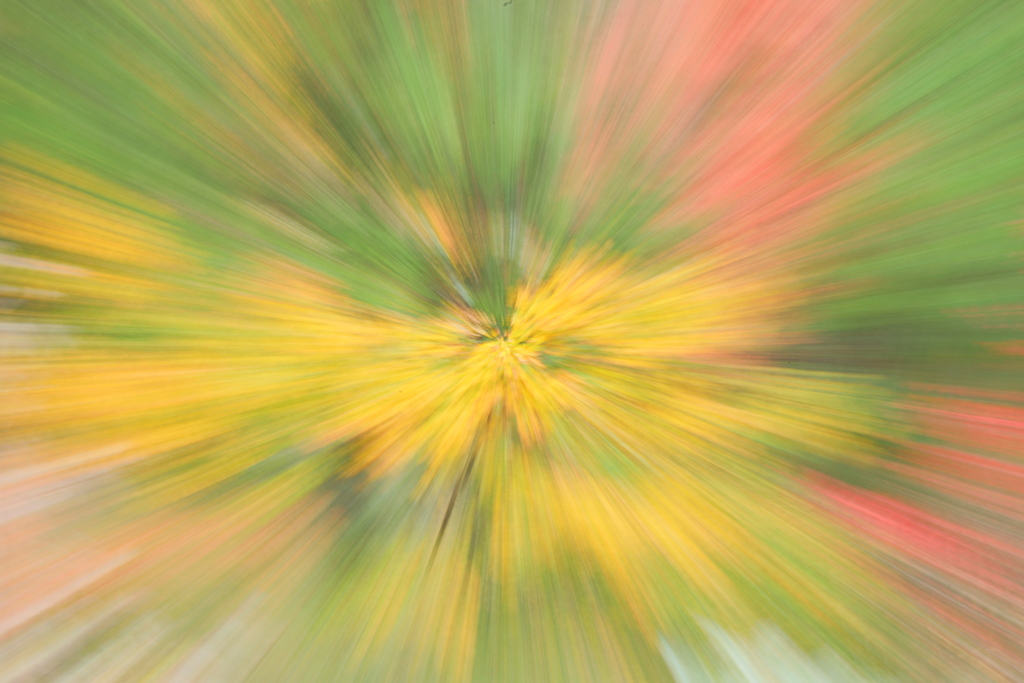 紅（黄）葉花火