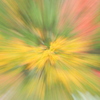 紅（黄）葉花火