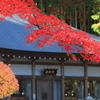 趣