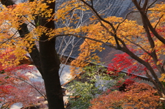 高幡不動尊