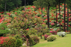 つつじ寺院