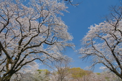 安堵