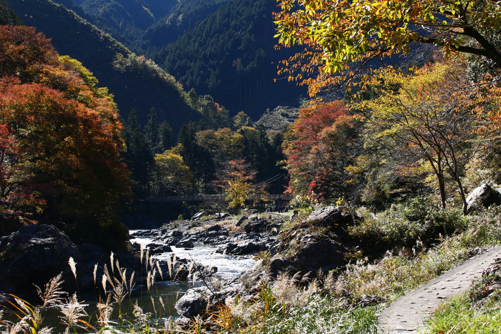 御岳渓谷