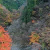 渓谷の秋