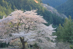 平穏