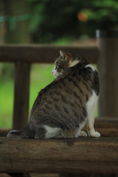 振り向かないで・・・