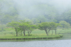 夢現Ⅲ