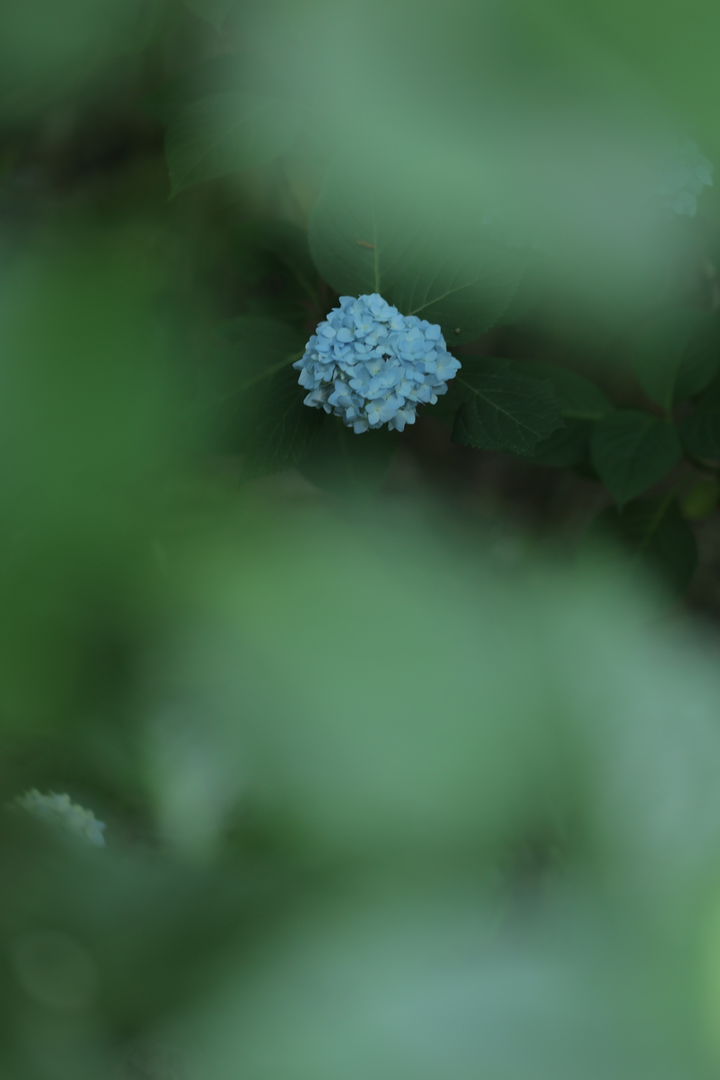 閑居