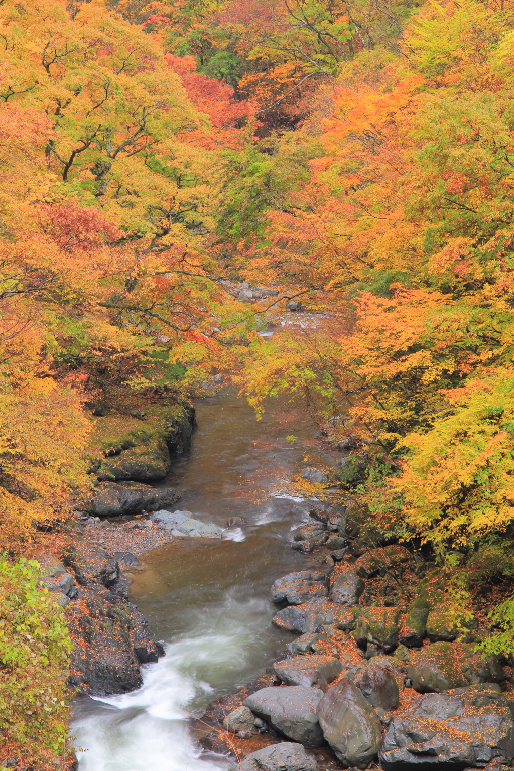 丹波山の秋Ⅱ