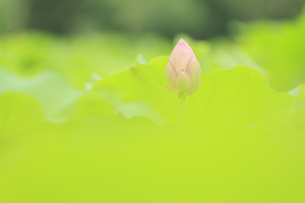 お待ちください