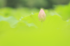 お待ちください