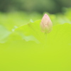 お待ちください