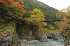 渓谷の秋