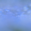 霧のカレリア