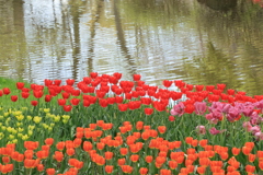 春の花園