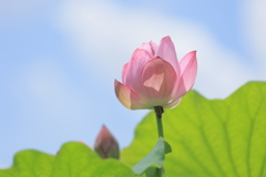爽快