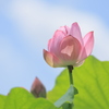 爽快