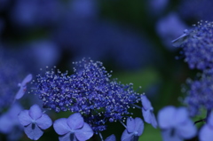 もうすぐ梅雨の季節・・・