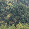 雄大Ⅱ