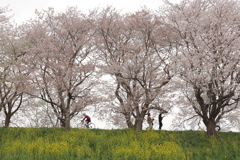 春の一ページ