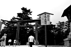 平成の大遷宮。