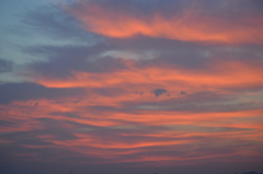 紅色夕日。
