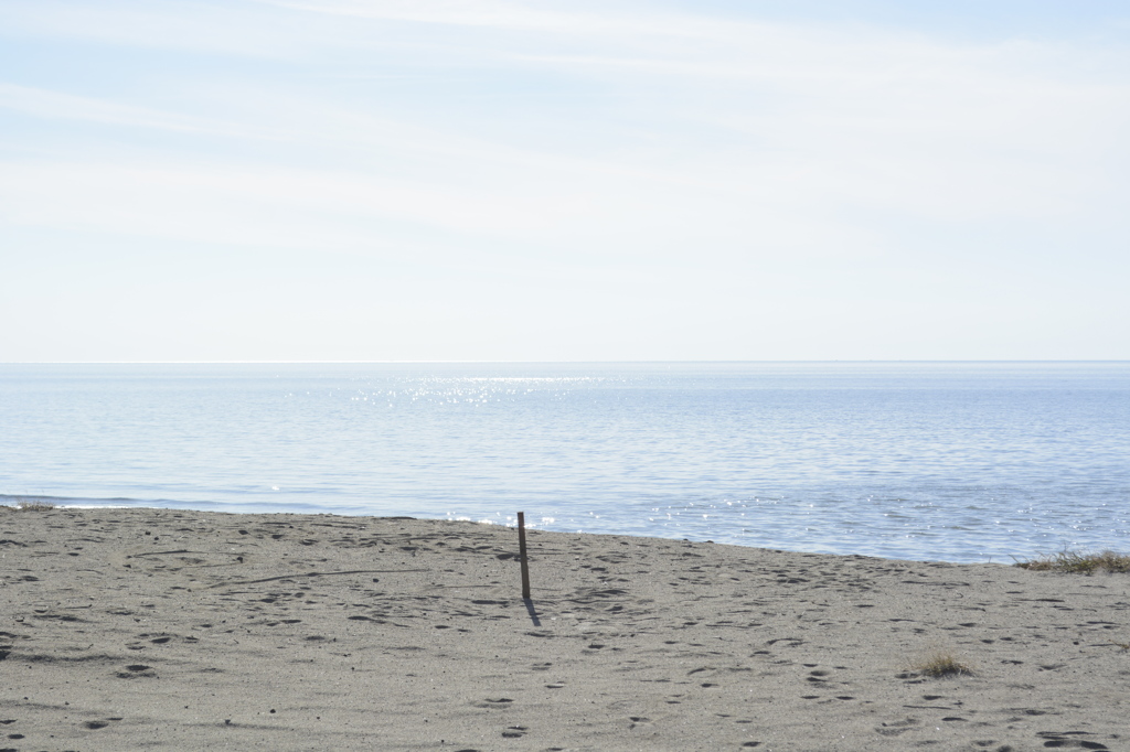 秋の海