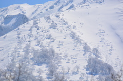 小さな行列登山。