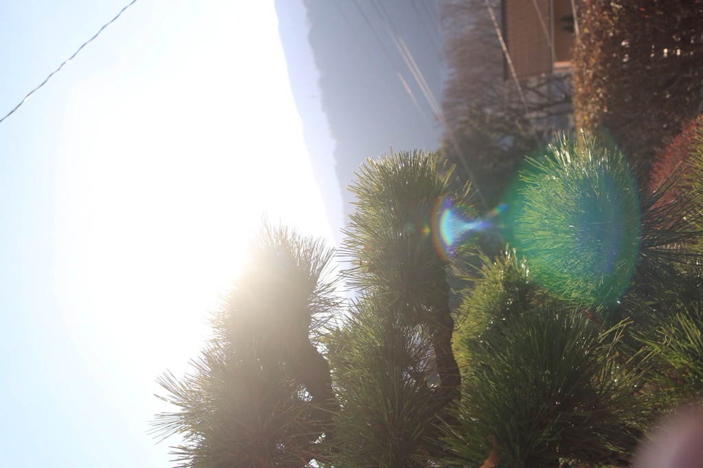 2014.初