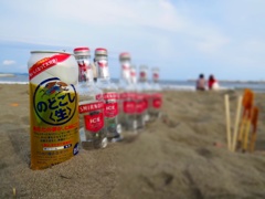 海・空・酒・串・砂浜・・・カップル