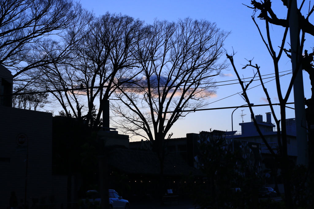 夕焼けシルエット♪