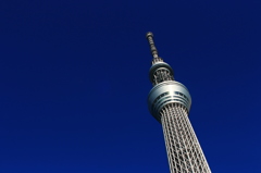 青空にはえるスカイツリー