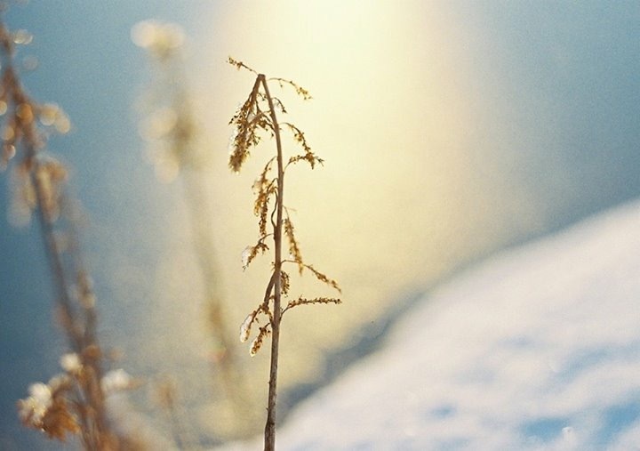 雪解けを待つ日