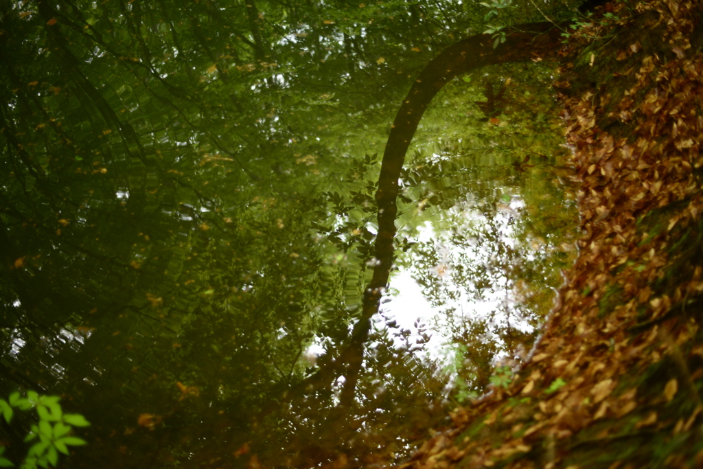 DSC_2908