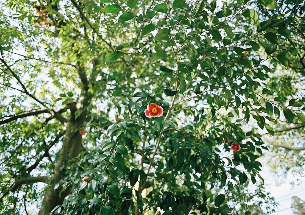 000026