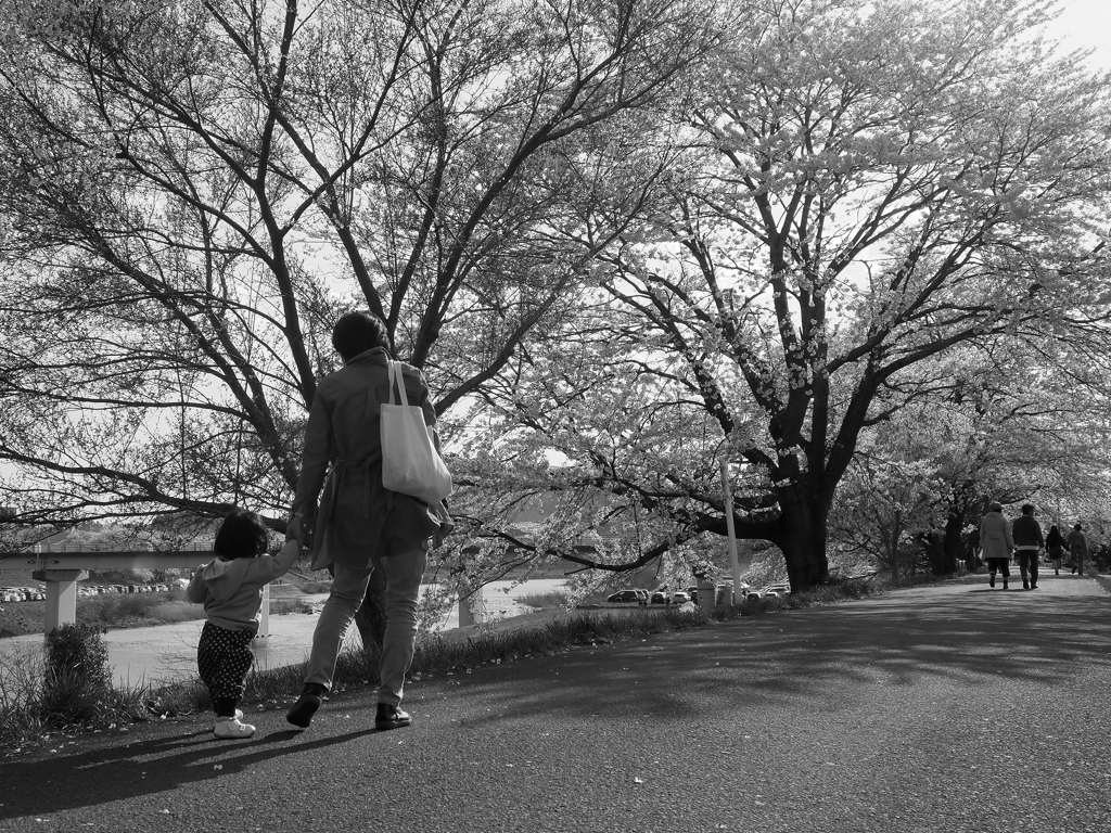 手をつなぐ散歩道