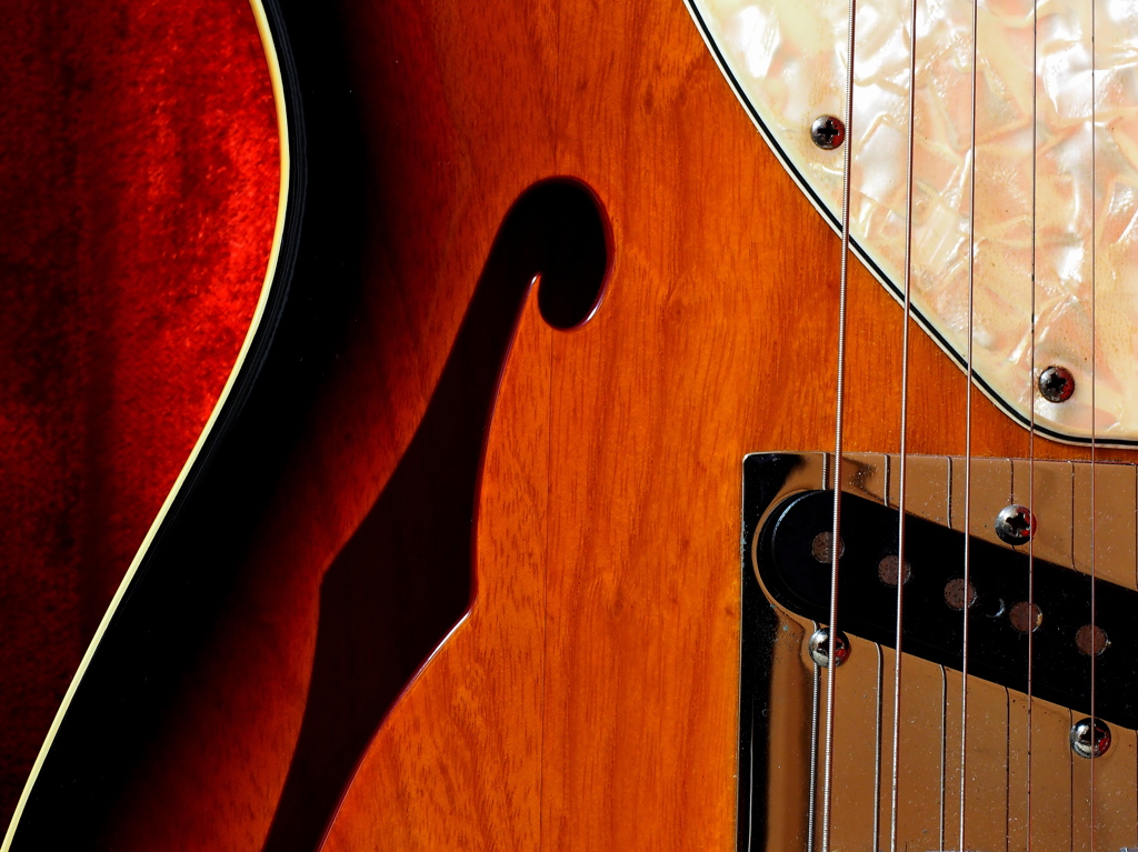 Telecaster Thinline