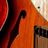 Telecaster Thinline