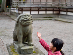 狛犬ブルース